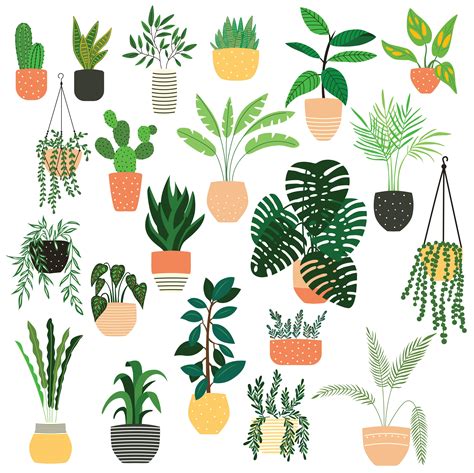 house plants drawing|House Plant Vector Art, Icons, and Graphics for Free Download .